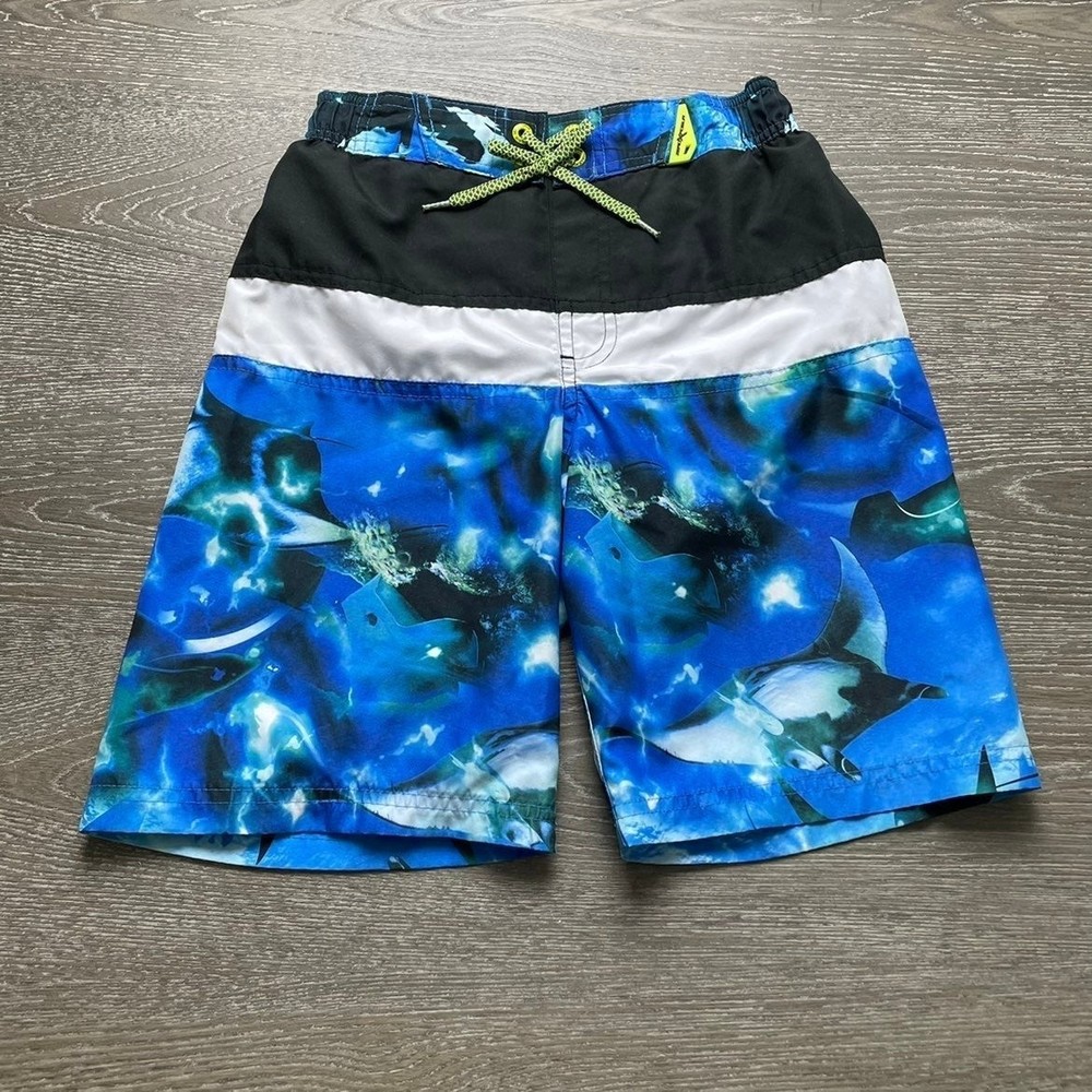 Blue stingray Zeroxposur board shorts
